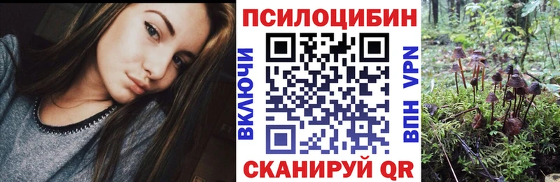 Псилоцибиновые грибы GOLDEN TEACHER  Свободный 